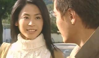 流金岁月一共多少集