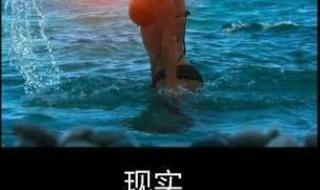 现实很骨感 现实很骨感