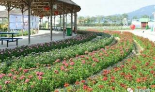 中国馆门票 中国馆门票