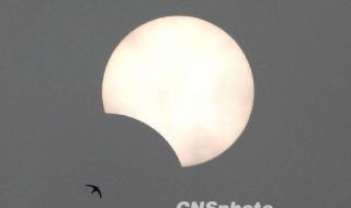 北京傍晚出现日偏食 北京傍晚出现日偏食