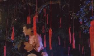 徐锦江的全部电影