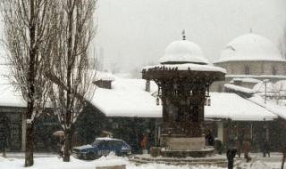 历届奥运会举办城市是哪 奥运会的举办城市有几个